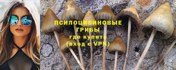 эйфоретик Абинск