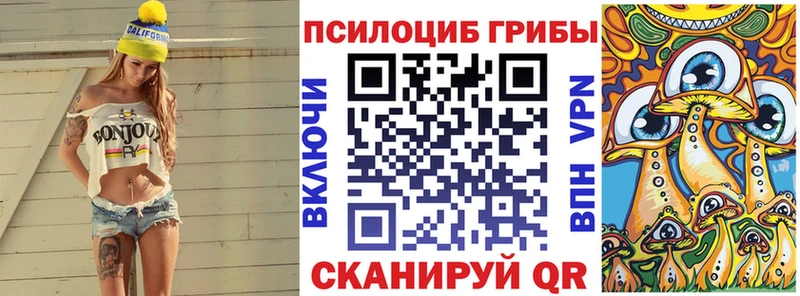 купить наркоту  Моршанск  Псилоцибиновые грибы GOLDEN TEACHER 